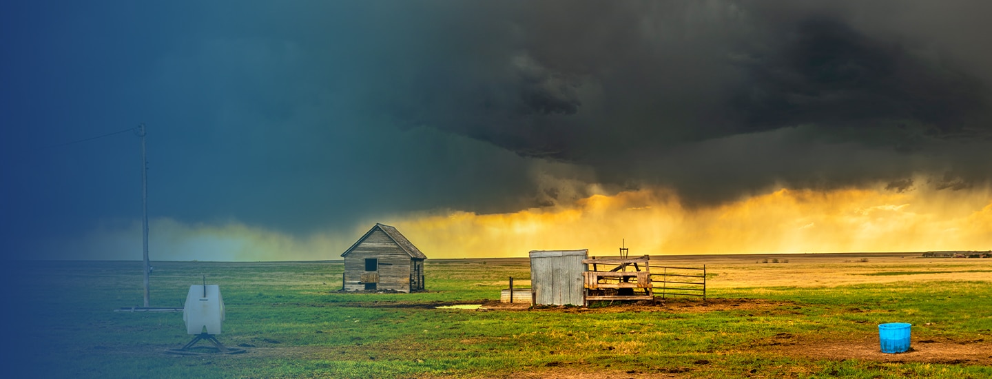 Storm Loans