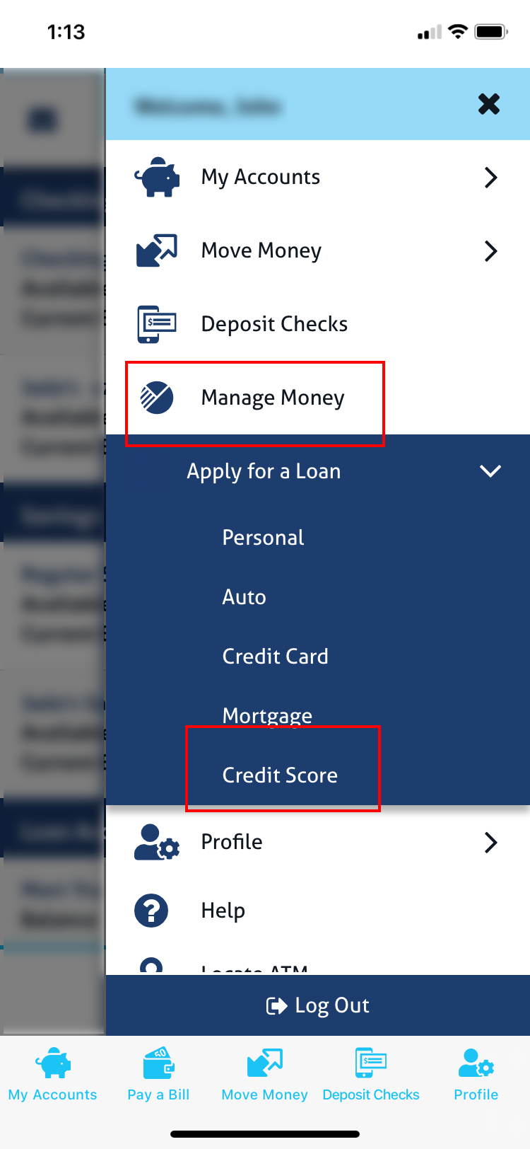 savvy money credit score